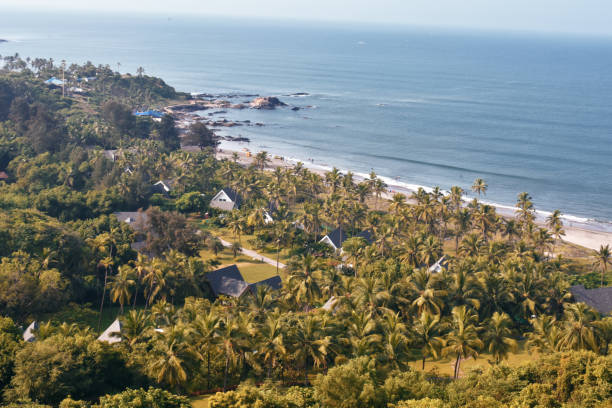 istock a group of houses in between trees just beside a beach 1210517738