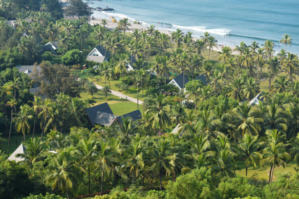 istock a beautiful villa in between green forest beside a ocean 1210518406