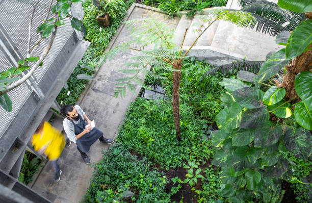 istock Young man working in a botanical garden 1210520890