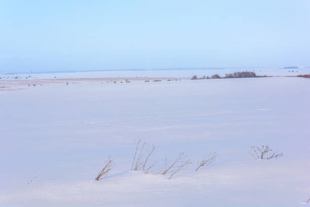 istock Beauty of nature in winter 1210522100