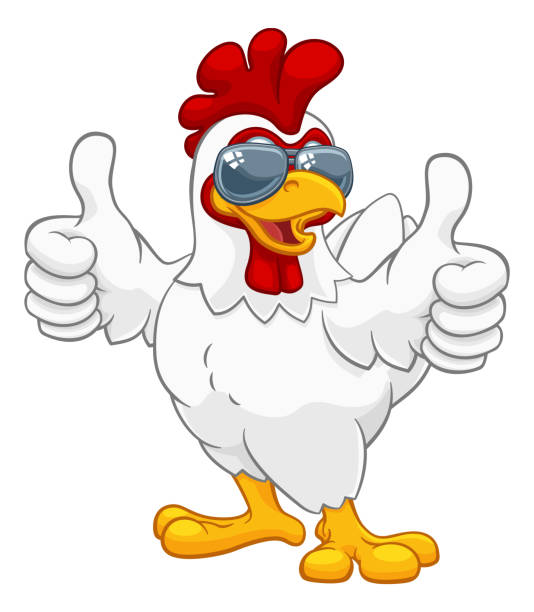 huhn hahn cockerel vogel sonnenbrille cartoon - chicken poultry cartoon cockerel stock-grafiken, -clipart, -cartoons und -symbole