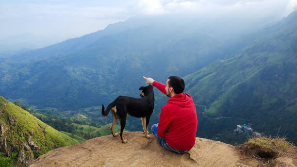парень с собакой, наслаждаясь горными пейзажами на краю скалы - малый пик адама стоковые фото и изображения