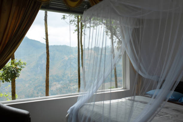 istock Hotel interior with large panoramic window and view of Mount 1210531516