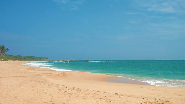 istock Sandy deserted paradise beach with palm trees on the ocean. 1210531613