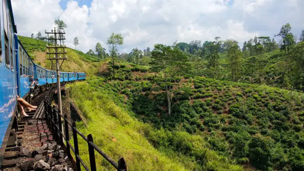 Photo of Passenger train with tourists rides through the green fields and the jungle of Sri Lanka