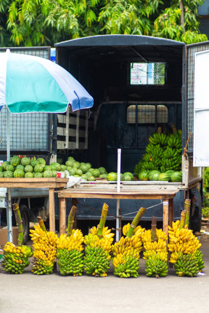 istock Tropical fruit street vendor in Sri Lanka 1210534814