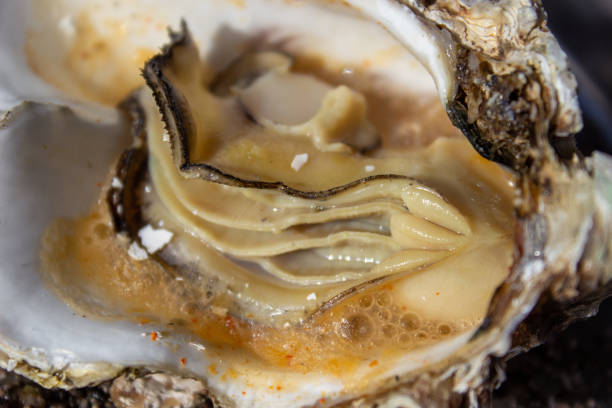 istock focused on an grilled oyster at a simmer 1210535063