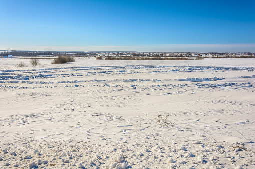 Snow-covered field in winter
