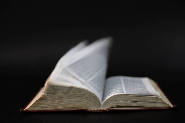 istock Old man reading The holy  bible 1210539762