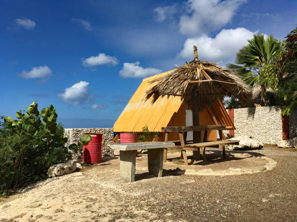 Shack by the Sea