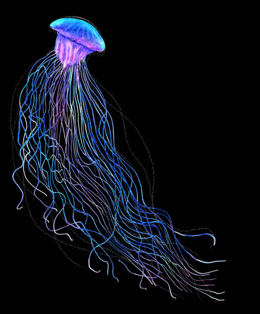 istock Watercolor jellyfish in modern bright neon colors isolated on black background underwater vivid illustration in large size Design element in magic style, purple blue violet glow pink fluid colorful 1210545009