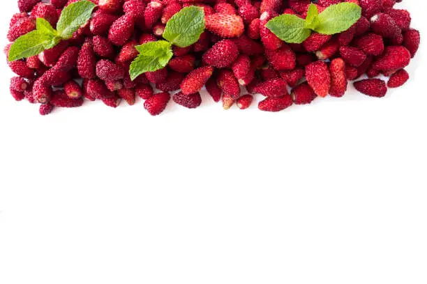 Fresh strawberries lay on white background. Background of wildberries. Ripe wild strawberry on a white background. Wild strawberries with copy space for text. Top view.