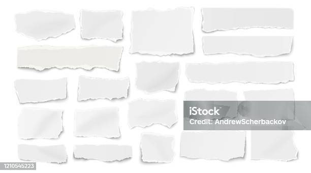 Satz Von Papier Verschiedene Formen Gerissen Fetzen Fragmente Wisps Isoliert Auf Weißem Hintergrund Stock Vektor Art und mehr Bilder von Papier
