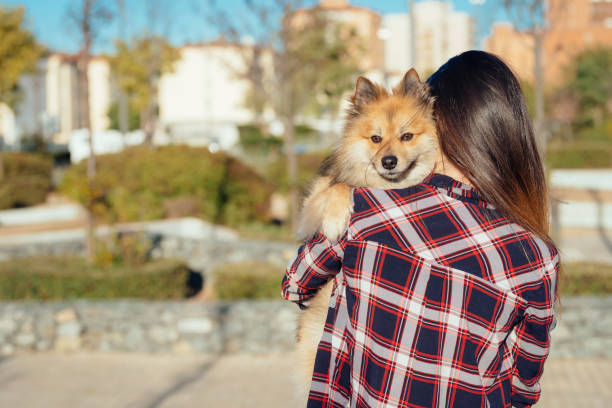 istock woman holds a small dog. Portrait with copy space for text 1210545225