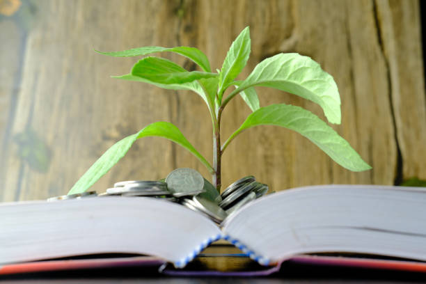 istock young plant growing through coins, investment plan 1210545446