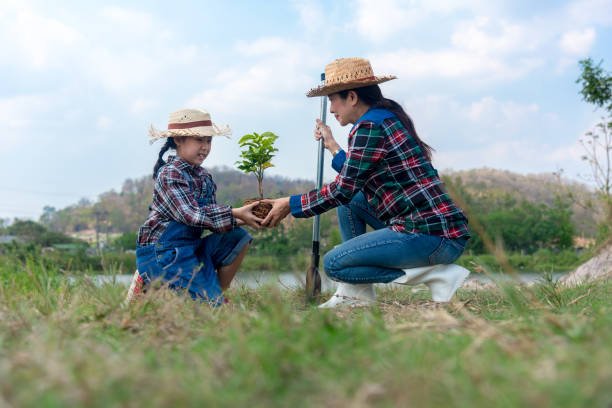 asiatische familie mutter und kind tochter pflanzen sapling baum im freien in der natur frühling für die verringerung der globalen erwärmung wachstum feature und kümmern sich um natur erde. menschen kind mädchen im garten hintergrund - garden feature stock-fotos und bilder