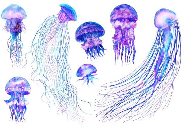 istock Watercolor jellyfish set in modern bright colors isolated on white background underwater vivid illustration in large size Design element in magic style, purple blue violet glow pink fluid colorful 1210551576
