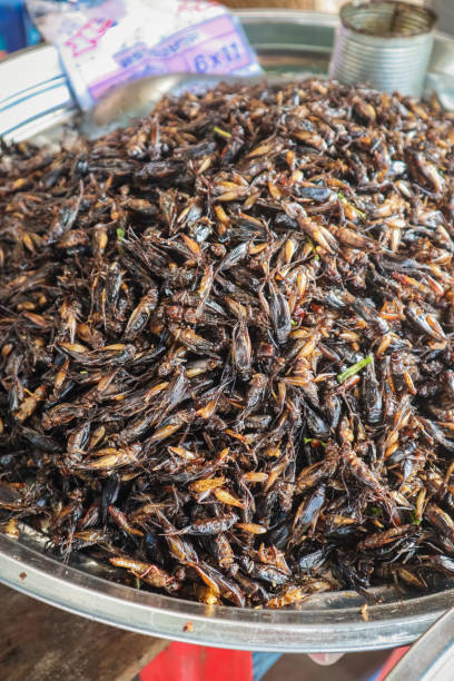 istock Spider and insect Snacks in Cambodia 1210552716