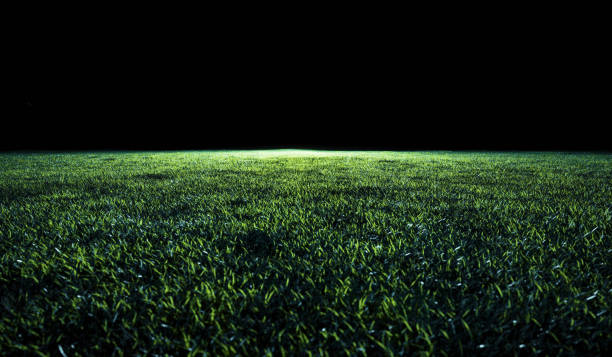 istock Low angle view across a soccer or sports field 1210554849