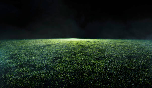 Low angle view across a soccer or sports field