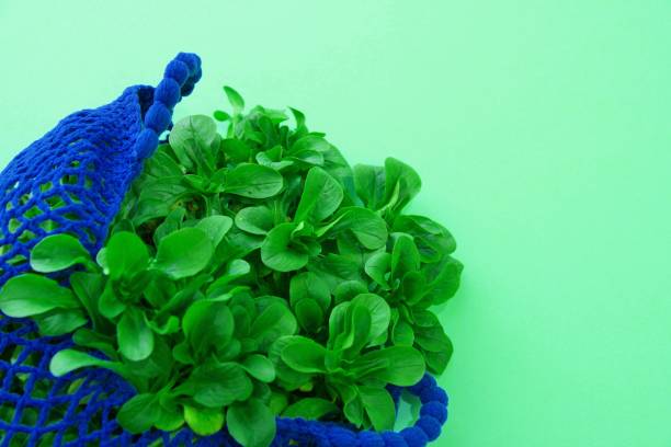 plastic free shopping concept