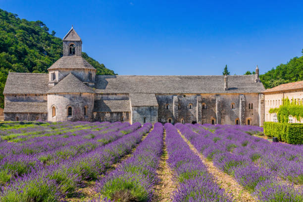 istock Provence, France. 1210555521