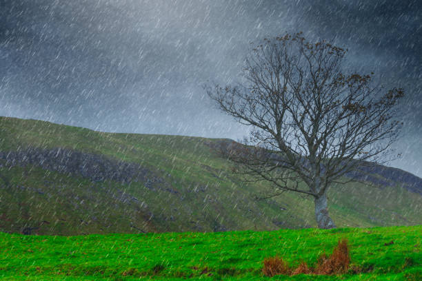 アイルランドの豪雨 - non urban scene landscape sky flood ストックフォトと画像