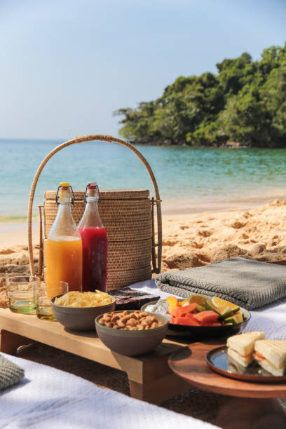 istock Beach Picnic by the sea with snacks and fruit and juice drinks 1210560836