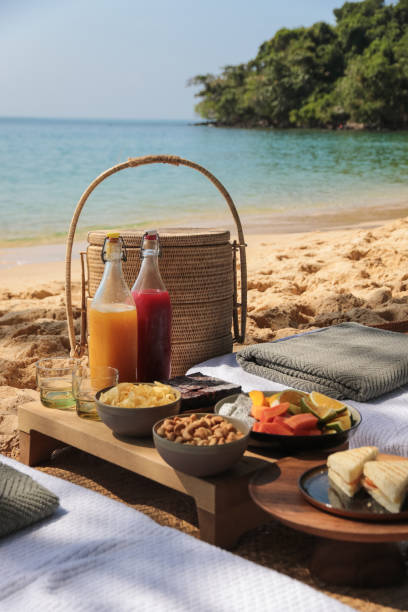 istock Beach Picnic by the sea with snacks and fruit and juice drinks 1210560881