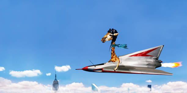 istock Giraffe flying fast on the jet plane over city 1210561277