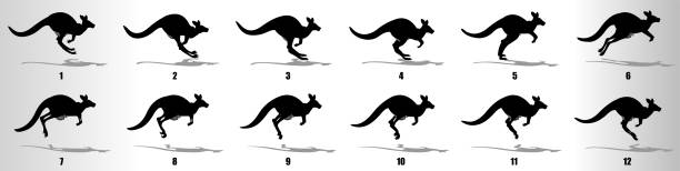 stockillustraties, clipart, cartoons en iconen met kangoeroe run cyclus animatie frames, lus animatie sequentie sprite sheet - rigging