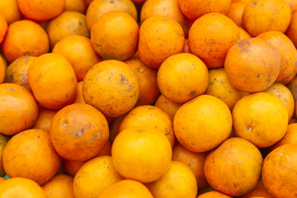 istock Fresh and Ripe oranges, Fruit photo. 1210564129