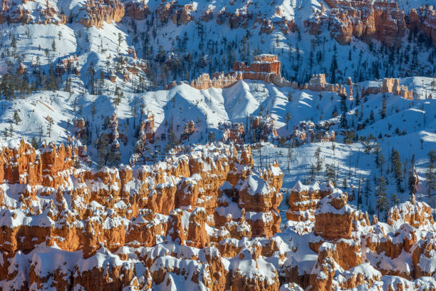 istock Scenic Bryce Canyon Utah in Winter 1210565964