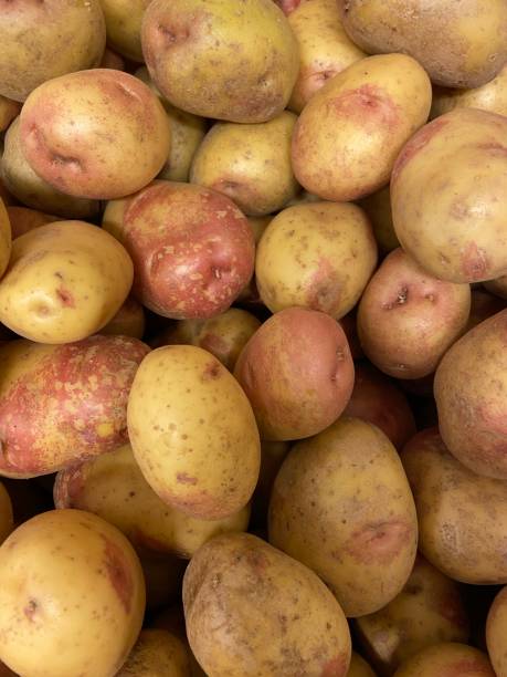 potatis - potatis sweden bildbanksfoton och bilder