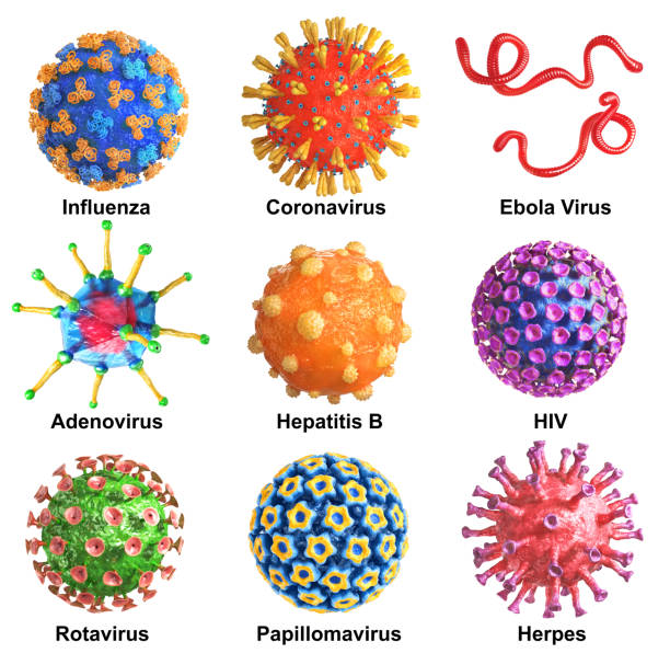 verschiedene viren auf weißem hintergrund. 3d-illustration - influenza a virus stock-fotos und bilder