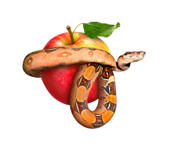 istock Snake entwined apple on a white background 1210568757