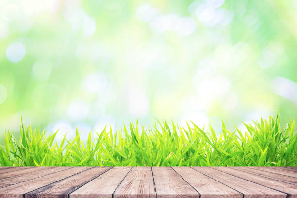 Nature background with wooden floor