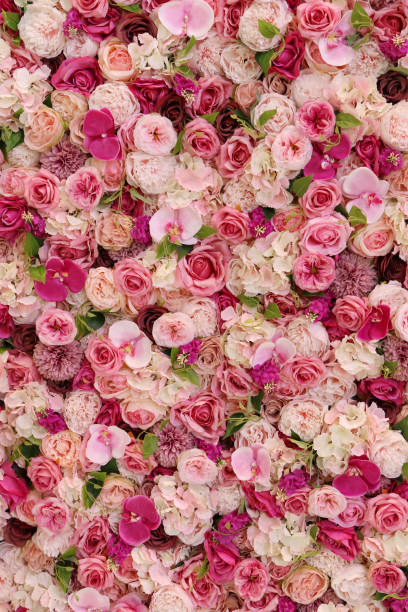 istock Roses in floral background 1210576985