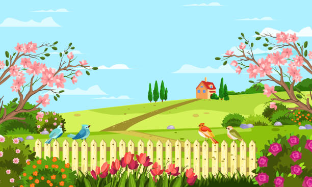 ilustrações de stock, clip art, desenhos animados e ícones de horizontal spring landscape with fence, tulips, roses, blooming trees and bushes, hills, birds and house. rural illustration with summer garden in cartoon flat style - tulip field flower cloud