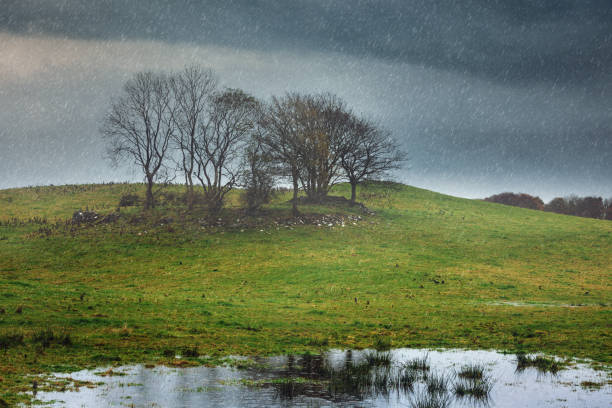 istock Heavy rain in Ireland 1210578164