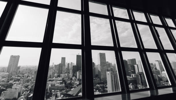 Tokyo skyline from inside tower