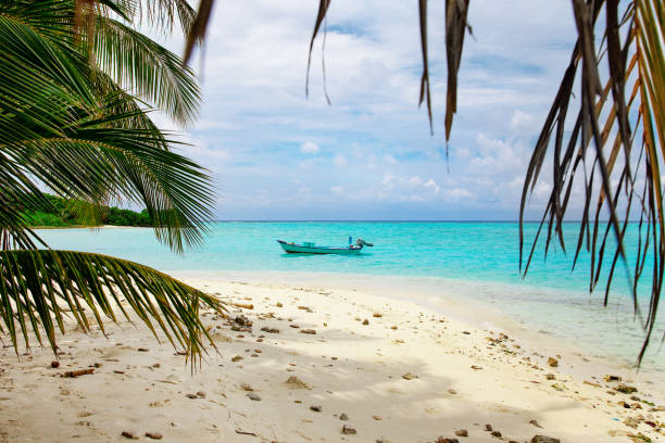 istock Maldive Islands Sand Beach and green palm foliage view 1210578846