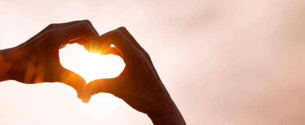 Heart shaped hand in back light Heart shaped hand in back light hands forming heart shape stock pictures, royalty-free photos & images