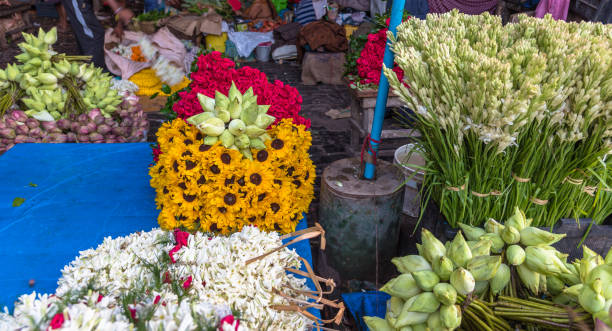 Colorful flowers Whole sellers of Mullick Ghat Flower market selling a wide selection of colorful flowers & garlands for sale. rajanigandha flower stock pictures, royalty-free photos & images