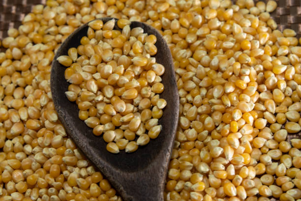 istock Popcorn is a little different from the usual, as it pops if heated in a popcorn maker or other utensil 1210587883