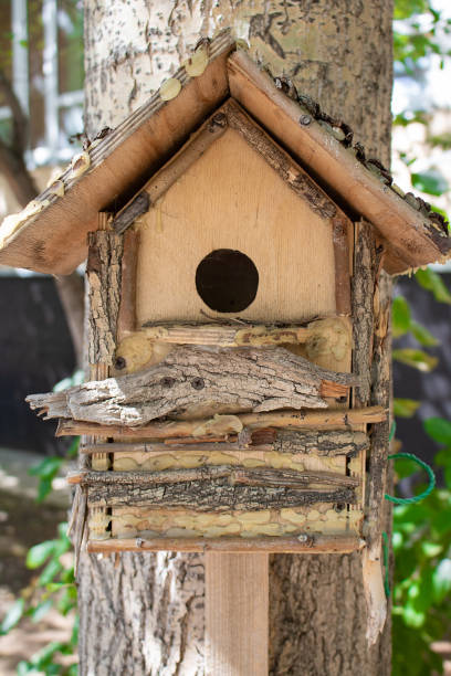 istock wooden birdhouse hanging from tree. Vertical photo 1210590984