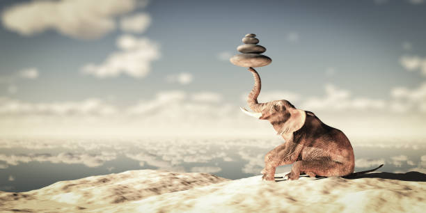 istock elephant sitting on the beach watching or the sunset 1210591225