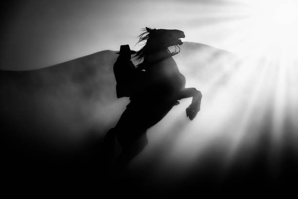 Wild horses living in nature