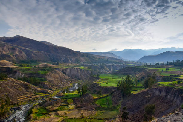 istock View into the Colca Canyon with his rice terrace in Peru. 1210593133