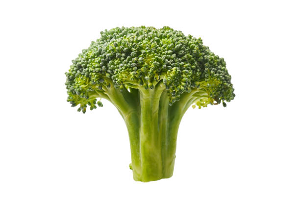 istock Fresh healthy broccoli cabbage isolated on a white background 1210593195